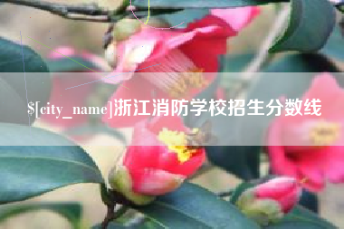 黔西南浙江消防学校招生分数线