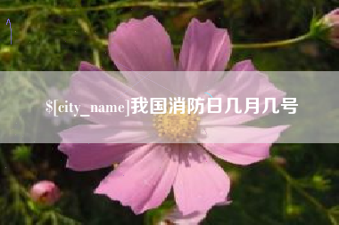 黔西南我国消防日几月几号