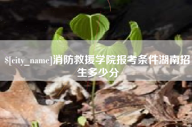 黔西南消防救援学院报考条件湖南招生多少分