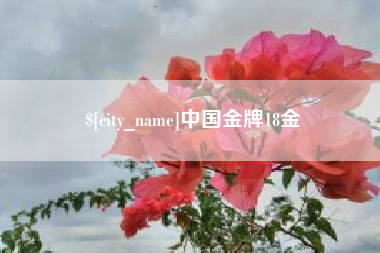 黔西南中国金牌18金