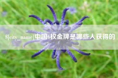 黔西南中国6枚金牌是哪些人获得的