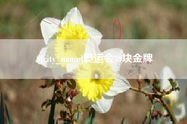 黔西南奥运会39块金牌