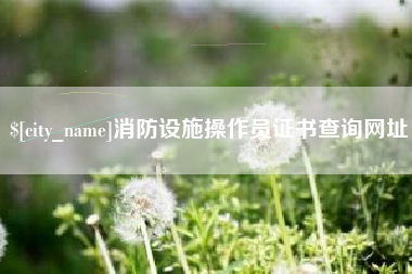 黔西南消防设施操作员证书查询网址