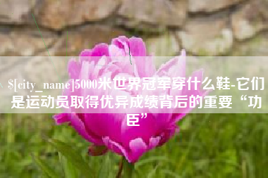 黔西南5000米世界冠军穿什么鞋-它们是运动员取得优异成绩背后的重要“功臣”
