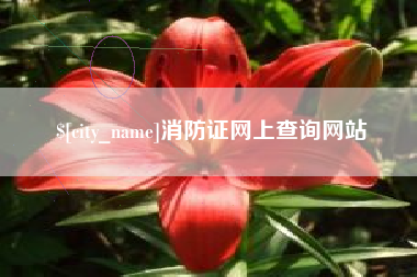 黔西南消防证网上查询网站