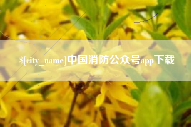 黔西南中国消防公众号app下载