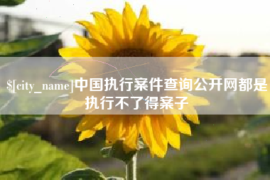 黔西南中国执行案件查询公开网都是执行不了得案子