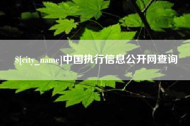 黔西南中国执行信息公开网查询