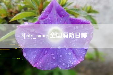 黔西南全国消防日哪一