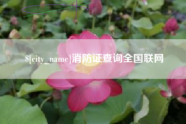 黔西南消防证查询全国联网