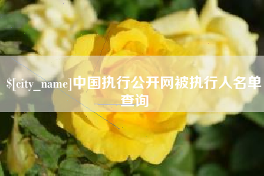 黔西南中国执行公开网被执行人名单查询