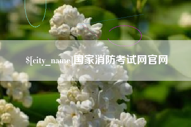 黔西南国家消防考试网官网