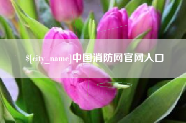 黔西南中国消防网官网入口