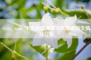黔西南中国消防救援学院湖南招生情况公布