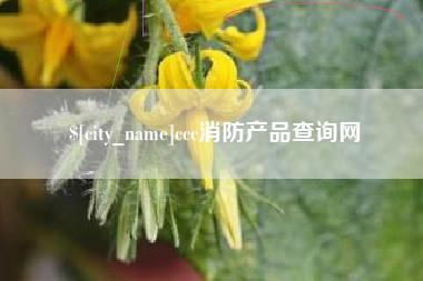 黔西南ccc消防产品查询网