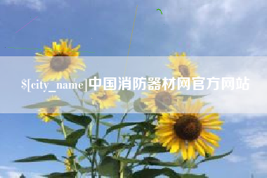 黔西南中国消防器材网官方网站