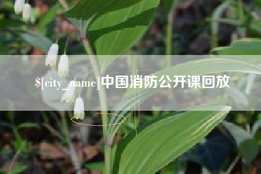 黔西南中国消防公开课回放