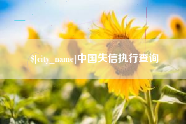 黔西南中国失信执行查询