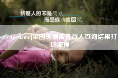 黔西南全国失信被执行人查询结果打印流程