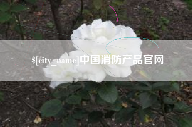 黔西南中国消防产品官网
