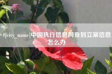 黔西南中国执行信息网查到立案信息怎么办