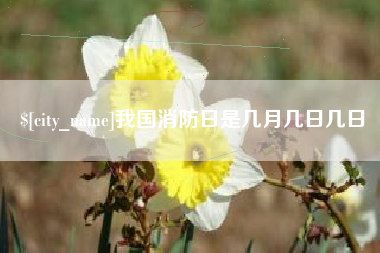 黔西南我国消防日是几月几日几日