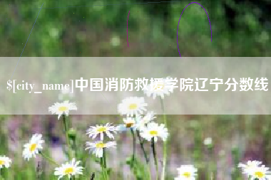 黔西南中国消防救援学院辽宁分数线