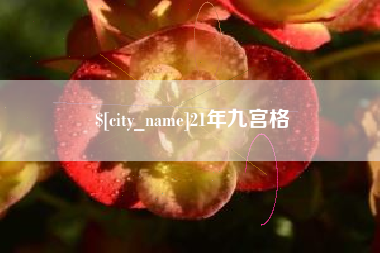 黔西南21年九宫格