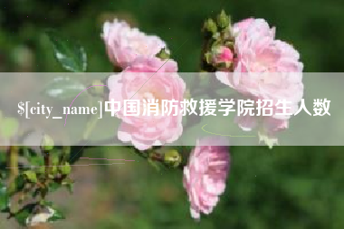 黔西南中国消防救援学院招生人数