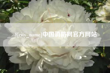 黔西南中国消防网官方网站