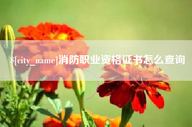 黔西南消防职业资格证书怎么查询