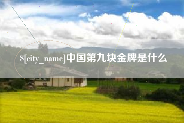 黔西南中国第九块金牌是什么