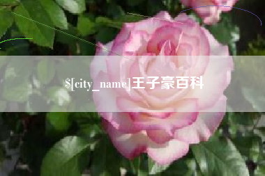黔西南王子豪百科