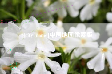 黔西南中国地图像素版
