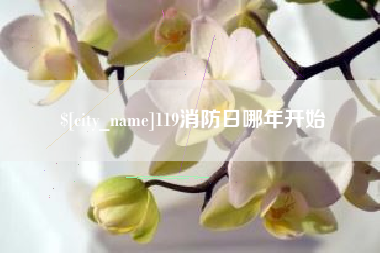 黔西南119消防日哪年开始