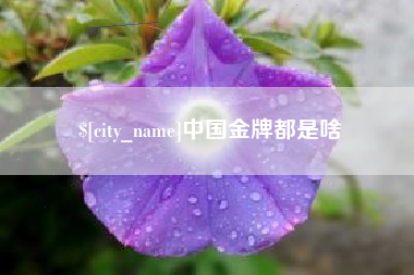 黔西南中国金牌都是啥