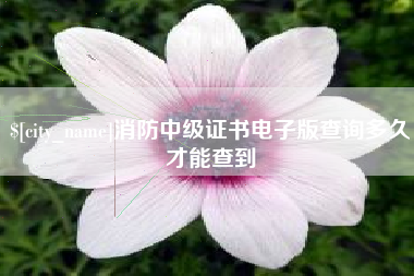 黔西南消防中级证书电子版查询多久才能查到