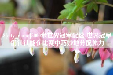 黔西南5000米世界冠军配速-世界冠军们往往能在比赛中巧妙地分配体力