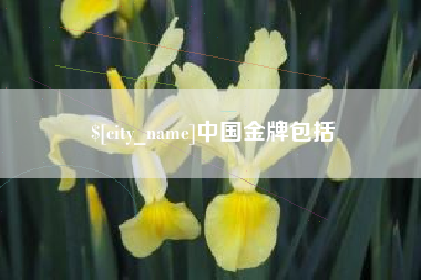 黔西南中国金牌包括