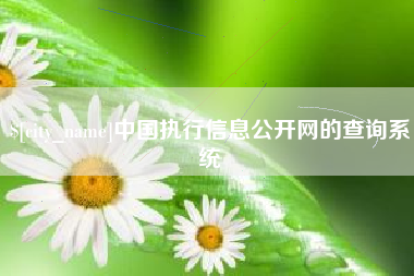 黔西南中国执行信息公开网的查询系统