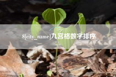 黔西南九宫格数字排序