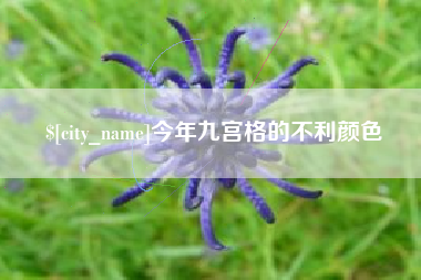 黔西南今年九宫格的不利颜色