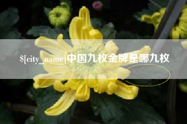 黔西南中国九枚金牌是哪九枚