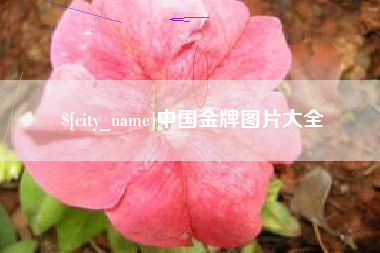 黔西南中国金牌图片大全