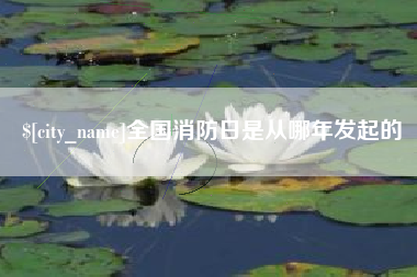 黔西南全国消防日是从哪年发起的