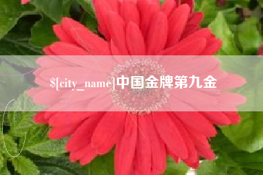 黔西南中国金牌第九金
