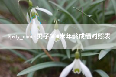 黔西南男子5000米年龄成绩对照表