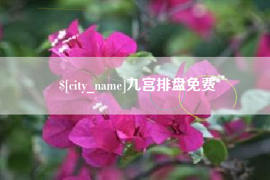 黔西南九宫排盘免费
