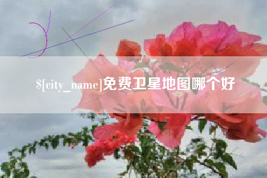 黔西南免费卫星地图哪个好