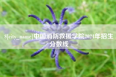 黔西南中国消防救援学院2024年招生分数线